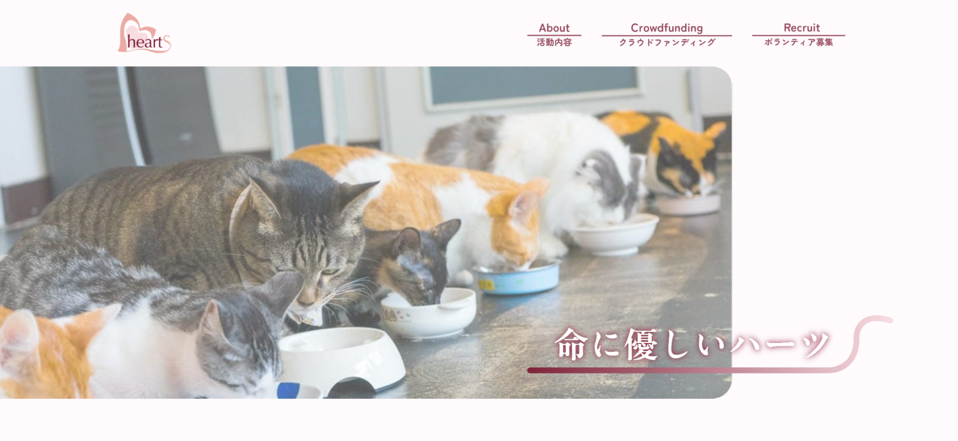 猫福祉団体ハーツサイト